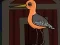Xogo Cute Godwit Escape en liña