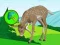 Xogo The Deer Meadow Escape en liña