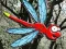 Xogo Escape From Dragonfly Forest en liña