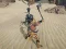 Xogo The Scythian Warrior en liña