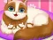 Xogo Cute Kitty Pregnant en liña
