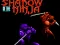 Xogo Shadow of the Ninja en liña