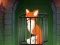 Xogo Fox in the Forgotten Ruins en liña