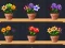 Xogo Good Flower Master en liña