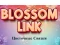 Xogo Blossom Link en liña