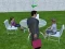 Xogo Millionaire Simulator 2024 en liña