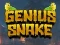 Xogo Genius Snake en liña