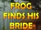Xogo Frog Finds His Bride en liña