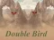 Xogo Double Bird en liña