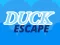 Xogo Duck Escape en liña