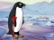 Xogo Heal the Wounded Penguin en liña