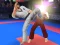 Xogo Karate Fighter en liña