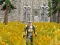 Xogo Axe Of The Ancients Dwarven Fury en liña