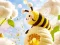 Xogo Find The Differences: Little Bee's Adventure en liña
