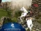 Xogo Ertugrul Gazi Horse Sim en liña