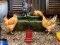 Xogo Poultry Farm Easter Escape en liña