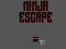 Xogo Ninja escape en liña