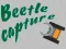 Xogo Beetle Capture en liña
