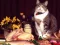 Xogo Funny Cats Puzzle en liña