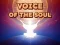 Xogo Voice Of The Soul en liña