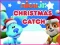 Xogo Nick Jr. Christmas Catch en liña