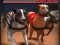 Xogo Greyhound Racing en liña