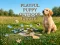 Xogo Playful Puppy Outdoor Puzzle en liña