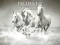 Xogo Horses Puzzle en liña