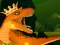 Xogo The Dino King en liña