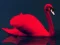 Xogo Love Birds Puzzle en liña