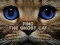 Xogo Find the Ghost Cat en liña