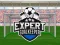 Xogo Expert Goalkeeper en liña