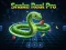 Xogo Snake Real Pro en liña