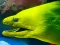 Xogo Underwater World Jigsaw en liña