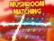 Xogo Mushroom matching en liña