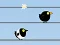 Xogo Gone with the Birds en liña