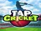 Xogo Tap Cricket en liña