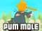 Xogo Pum-Mole en liña