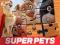 Xogo DC League of Super Pets Jigsaw Puzzle en liña
