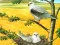 Xogo Birds Of Prey Puzzle en liña