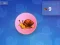 Xogo Snail Clicker en liña