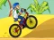 Xogo BMX Boy Online en liña
