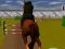 Xogo Jumping Horse 3d en liña
