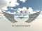 Xogo Air Superiority Fighter en liña