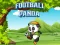 Xogo Football Panda en liña