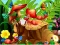 Xogo Hidden Objects Insects en liña