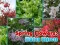 Xogo Spring Flowers: Hidden Objects en liña
