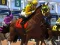 Xogo Horse Racing en liña