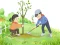 Xogo Arbor Day Puzzle en liña