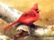 Xogo Art Birds Puzzle en liña